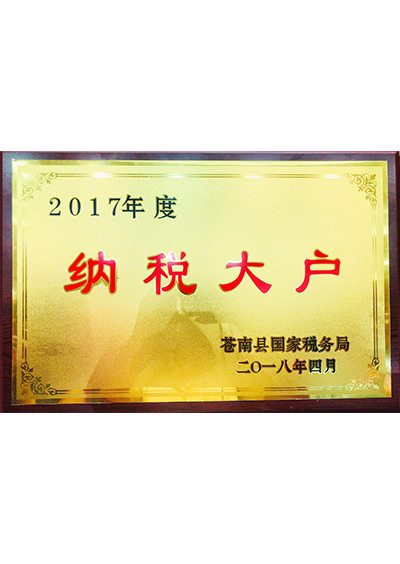2017年度納稅大戶